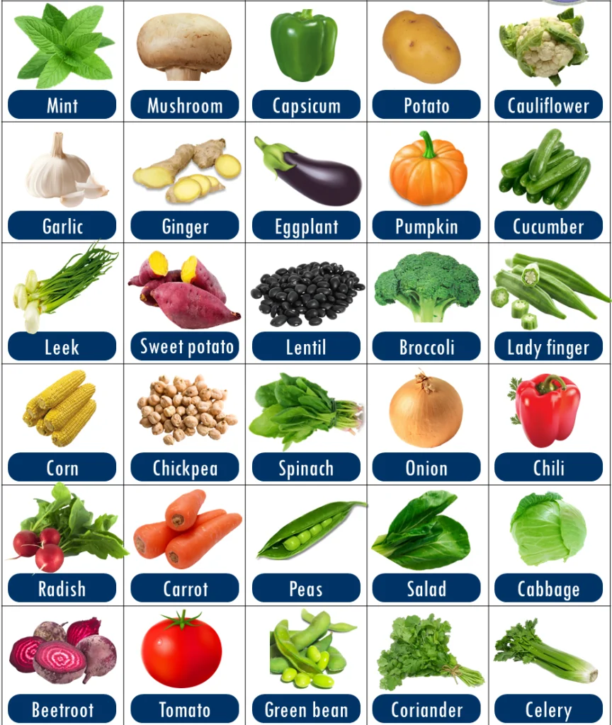 Vegetable Names