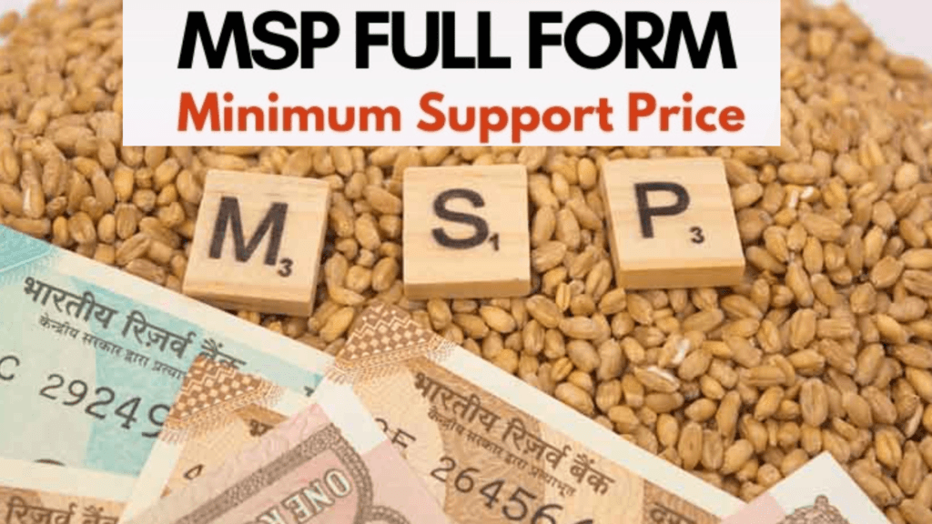 MSP Full Form