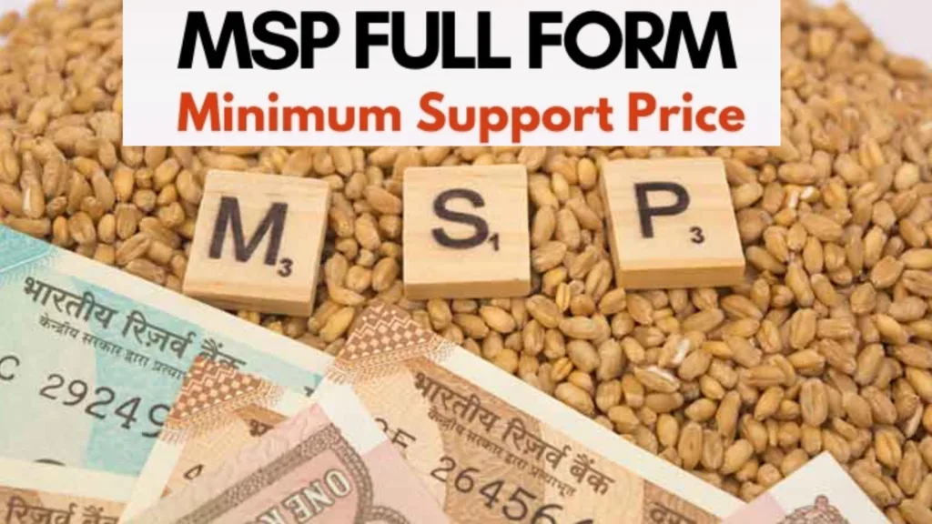 MSP Full Form